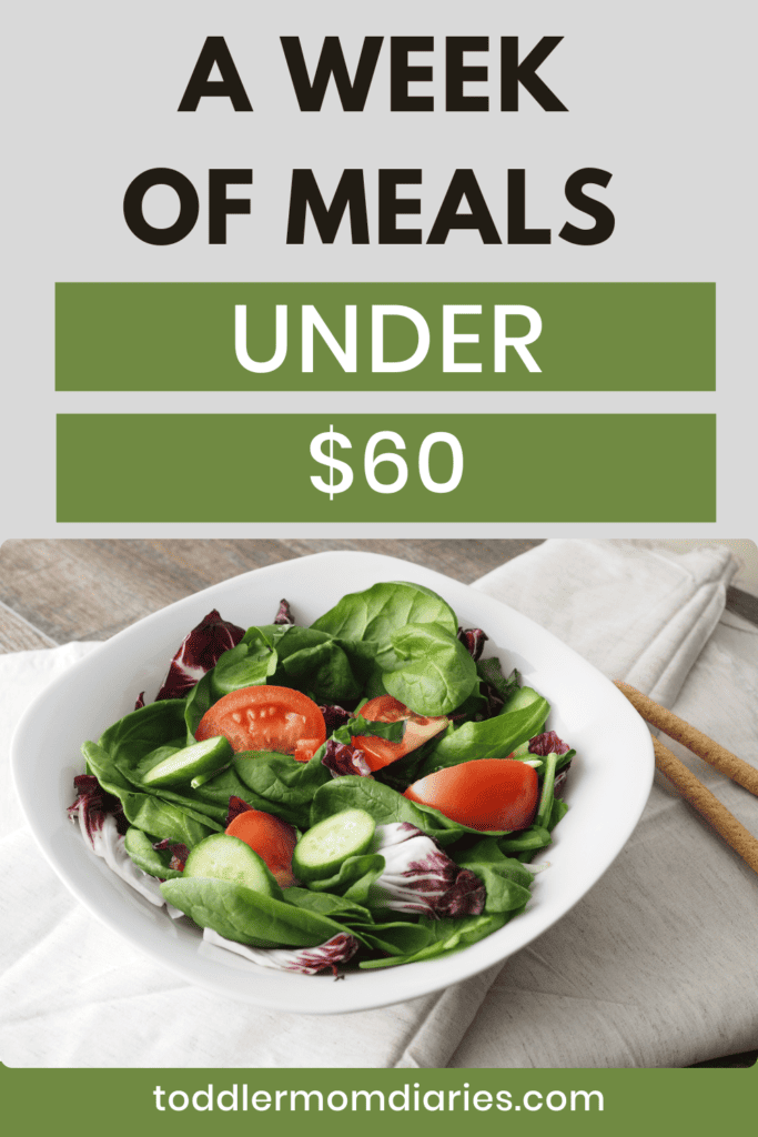 healthy budget friendly meals for under $60